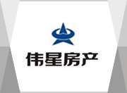 WEIXING GROUP